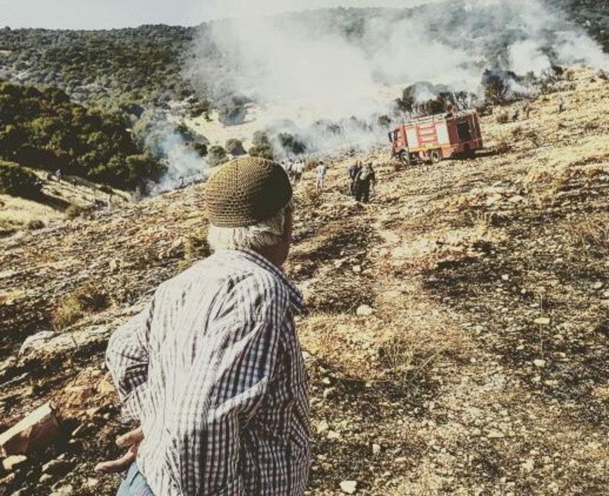 Orman yangını paniğe neden oldu