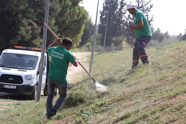 Toroslar’da sonbahar bakımı