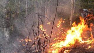 Ordu'da orman yangınına müdahale eden kişi yaşamını yitirdi