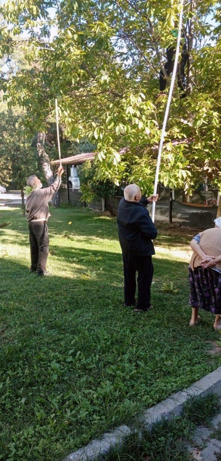Huzurevinde hasat şenliği G3
