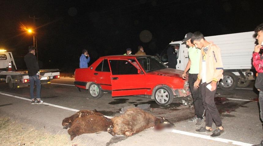 Otomobil s&uuml;r&uuml;ye &ccedil;arptı; 5 koyun telef oldu