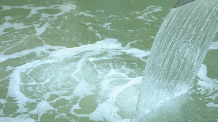 Isı 40 derecenin üzerindeyse... Termal su uyarısı: Beyin yiyen amip bulaşabilir