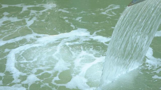 Isı 40 derecenin üzerindeyse... Termal su uyarısı: Beyin yiyen amip bulaşabilir