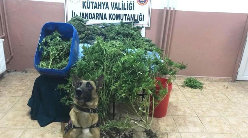 Kütahya’da uyuşturucu operasyonu