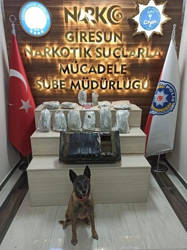 Giresun’da 6 kilogram esrar ele geçirildi