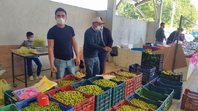 Yüksek fiyat salamura zeytin yapımını yaygınlaştırdı