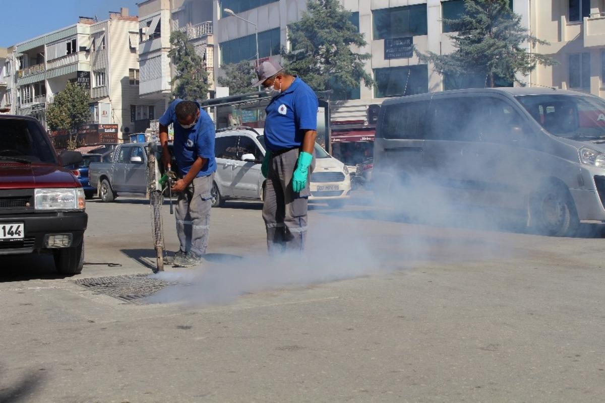 Sinekle m&uuml;cadele hız kesmiyor