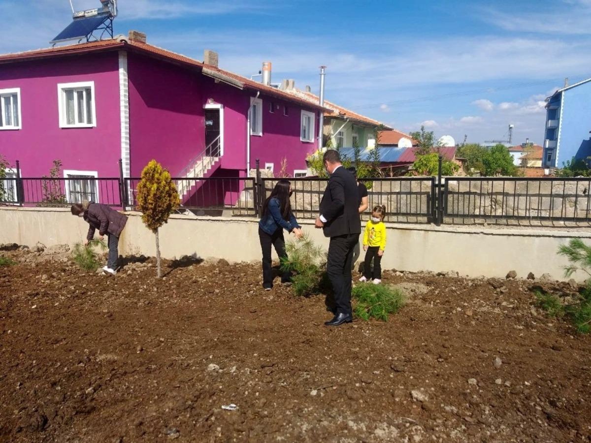Altıntaş&rsquo;ta okullarda fidan dikildi