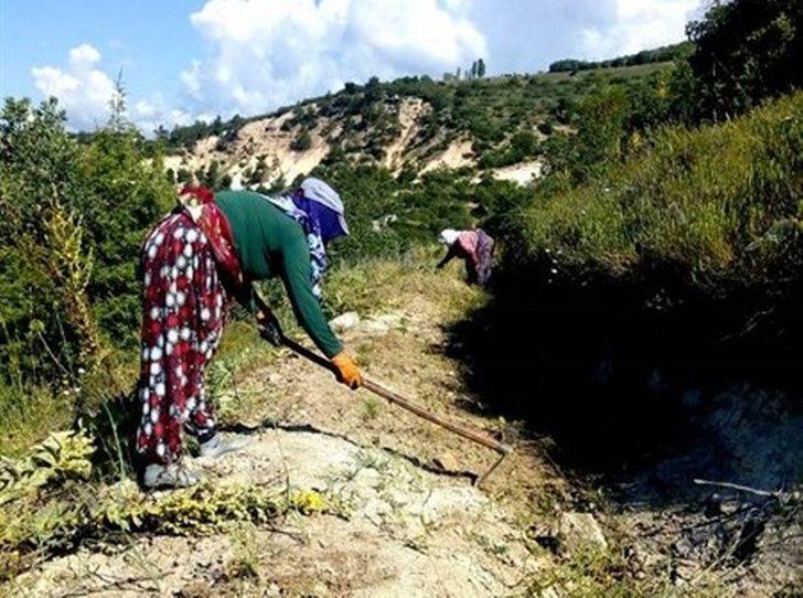 Müdür Keskin: “Ağaçlandırmanın başarısı dikimden sonraki bakımlarla mümkündür” G1