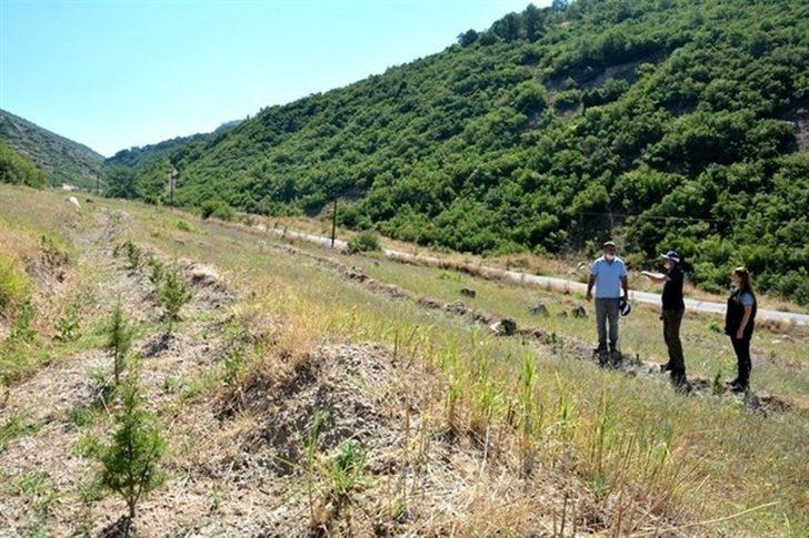 Müdür Keskin: “Ağaçlandırmanın başarısı dikimden sonraki bakımlarla mümkündür” G2