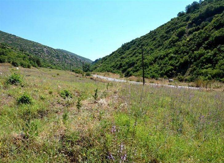 Müdür Keskin: “Ağaçlandırmanın başarısı dikimden sonraki bakımlarla mümkündür” G3