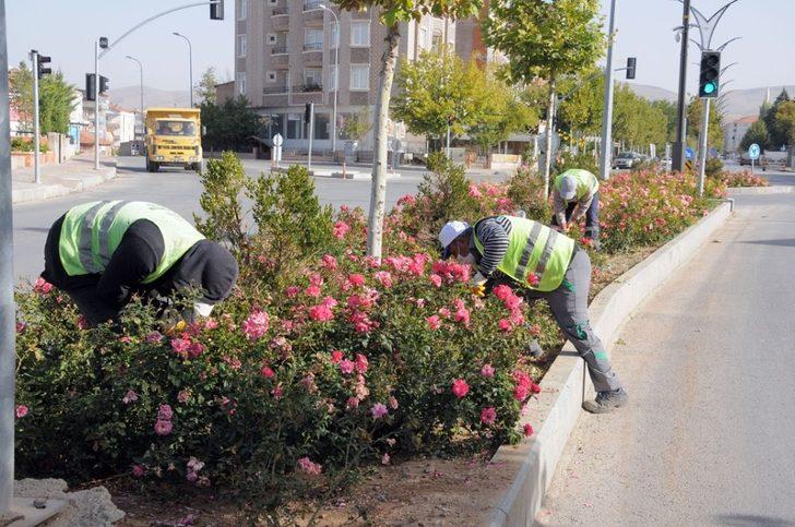 Kırşehir Belediyesi, alt ve üst yapı çalışmaları sürdürülüyor G3