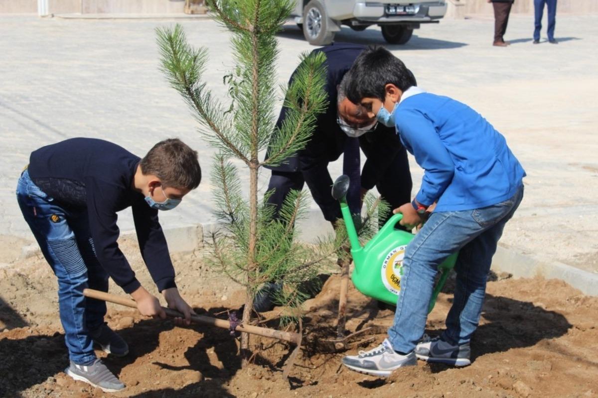 İlk g&uuml;n&uuml;n anısına y&uuml;zlerce fidan toprakla buluştu