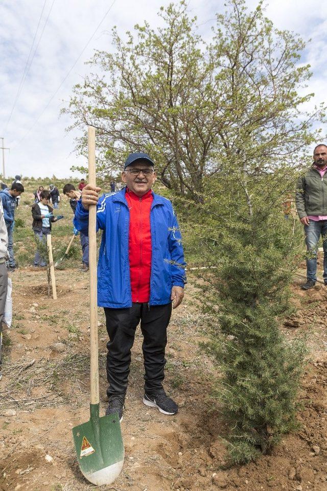 Başkan Büyükkılıç orman yangınlarına meydan okudu, 38 bin fidan bağışladı