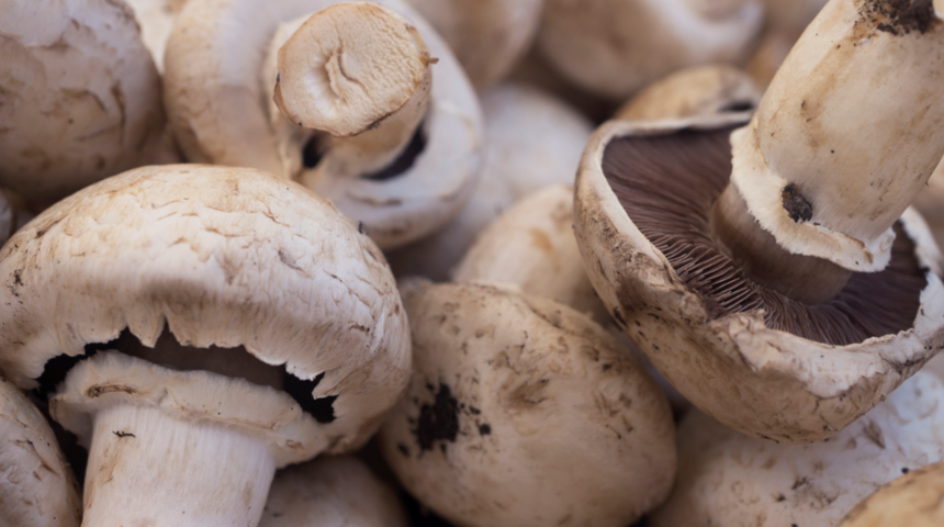 Bu yöntem sayesinde yiyecekler uzun süre dayanacak! Çileği sirkeye, mantarı kese kağıdına...