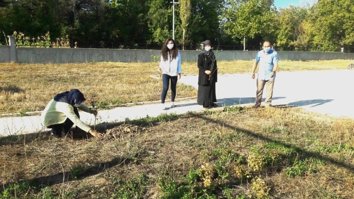 Hisarcık&rsquo;ta &ouml;ğretmenler fidan dikti