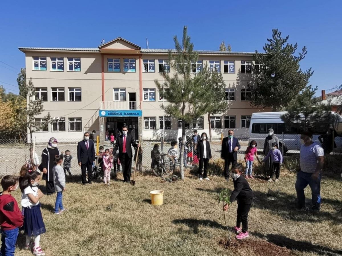 K&ouml;y okullarında 300 adet meşe palamudu ile 50 adet ceviz fidanı dikildi