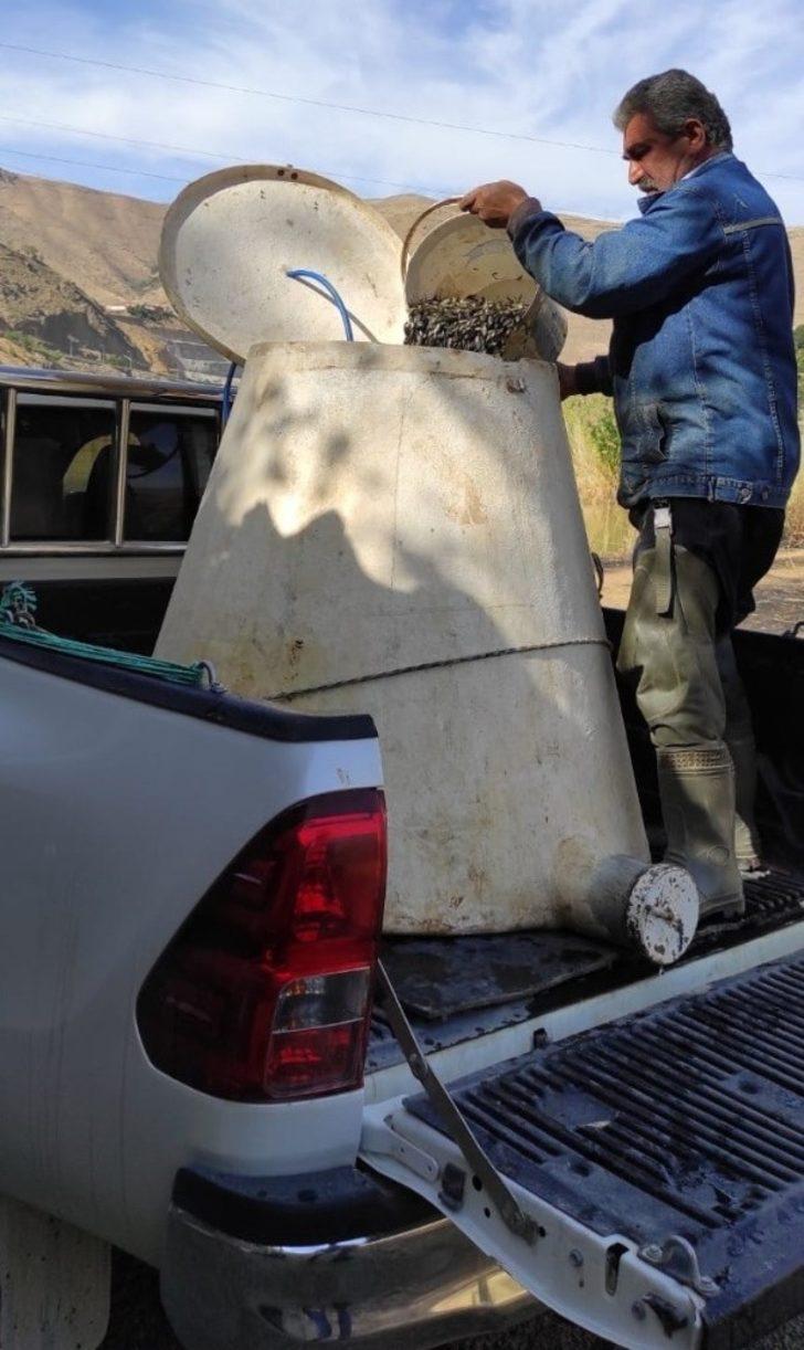 Elazığ’da üretilen 5 milyon balık 21 baraja bırakılıyor G3