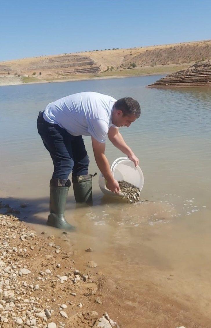 Elazığ’da üretilen 5 milyon balık 21 baraja bırakılıyor G4
