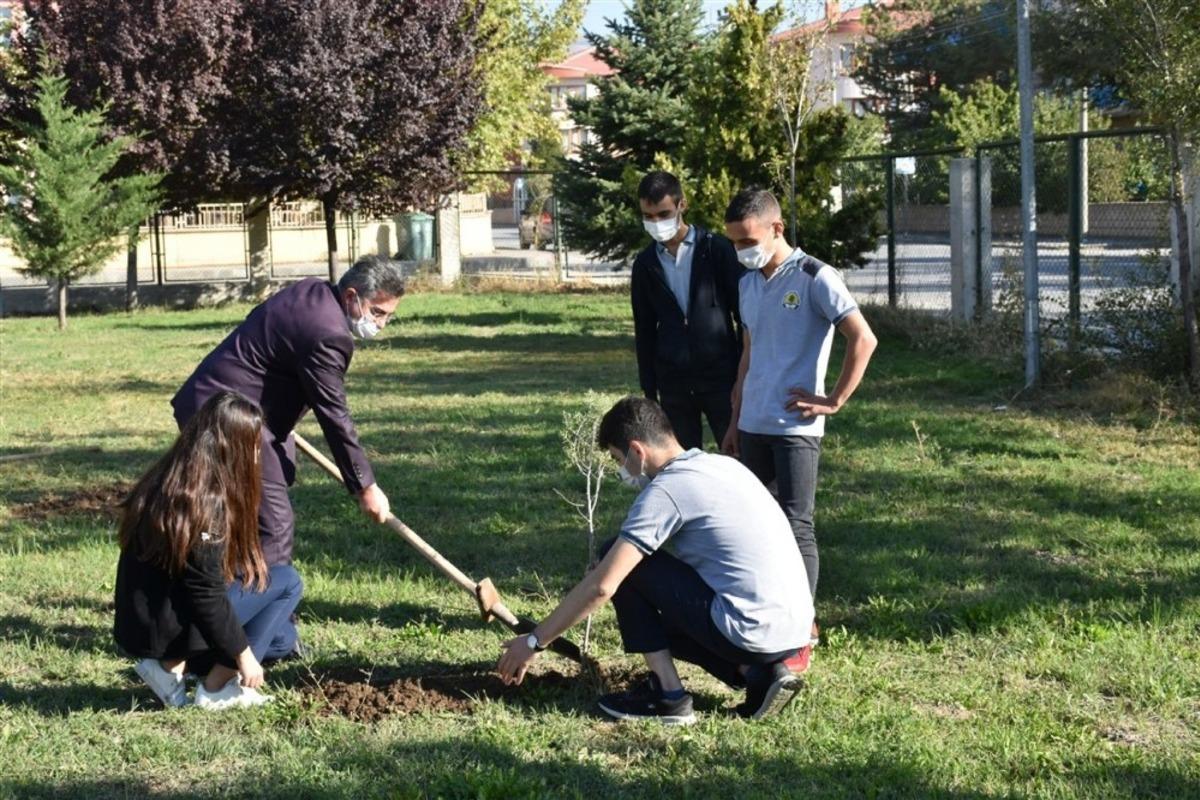 Orman yangınlarına dikkat &ccedil;ekmek i&ccedil;in fidan diktiler