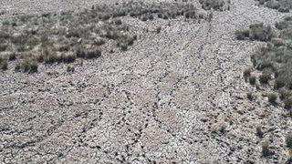 Kızılırmak Deltası için tehlike çanları çalıyor: 4 aydır bir damla düşmedi