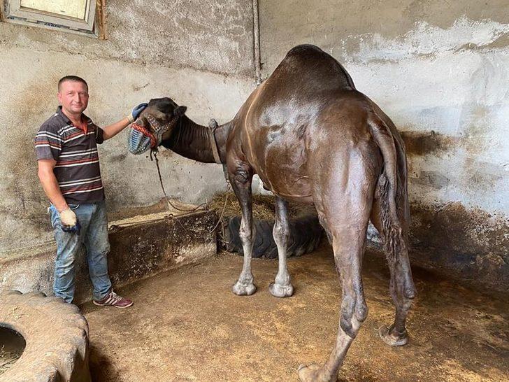 Güreş arenasının Buldanbeyi öldü G1