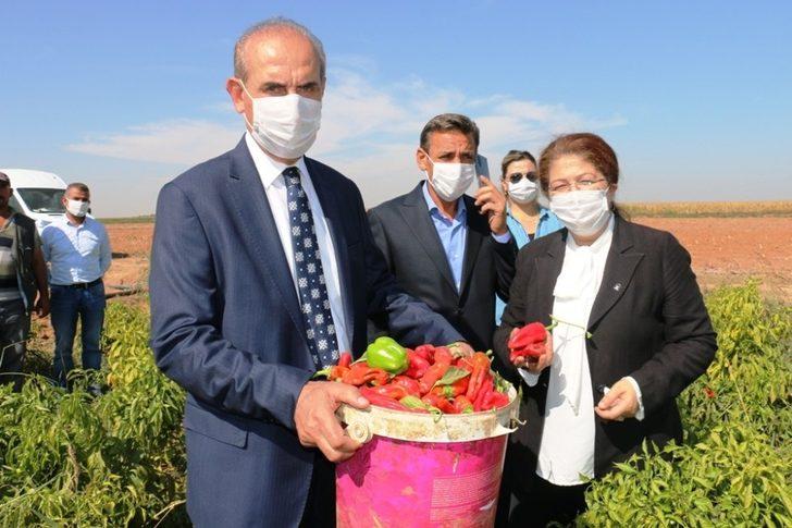 Ak Parti MKYK üyesi Polat Akçakale’de G4