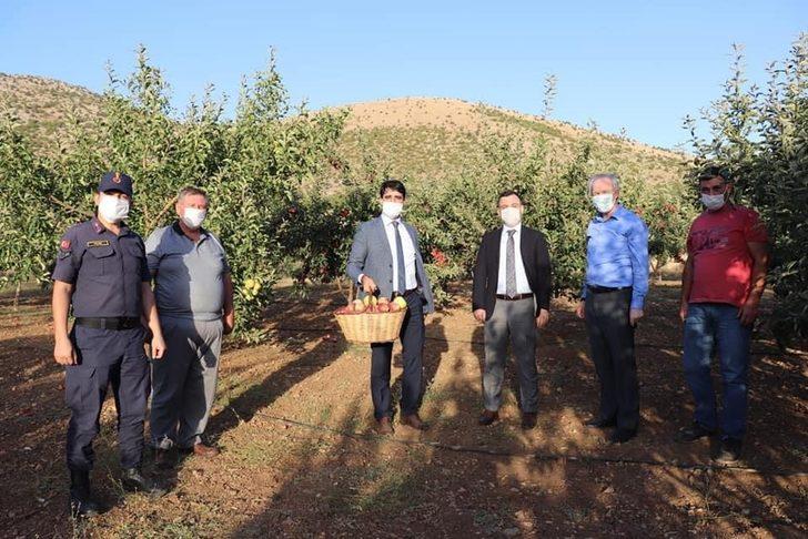 Kaymakamlar tarlada çiftçilerle hasat yaptı G3