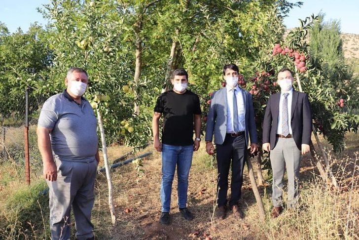 Kaymakamlar tarlada çiftçilerle hasat yaptı G4