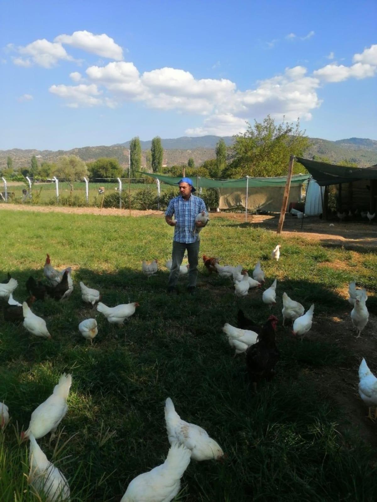 Hobi olarak başladı, &ccedil;iftlik sahibi oldu