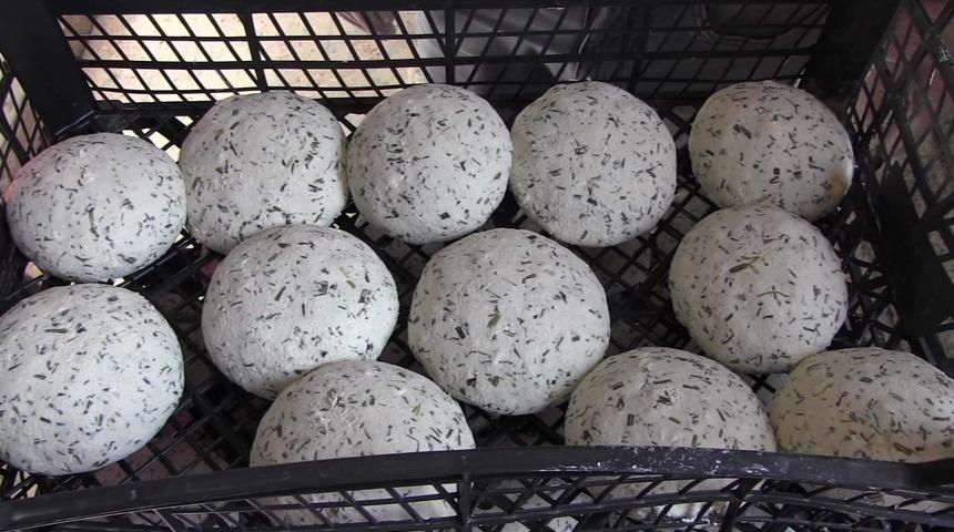 3 ay boyunca taze kalıyor! Yiyen doktor yüzü görmüyor