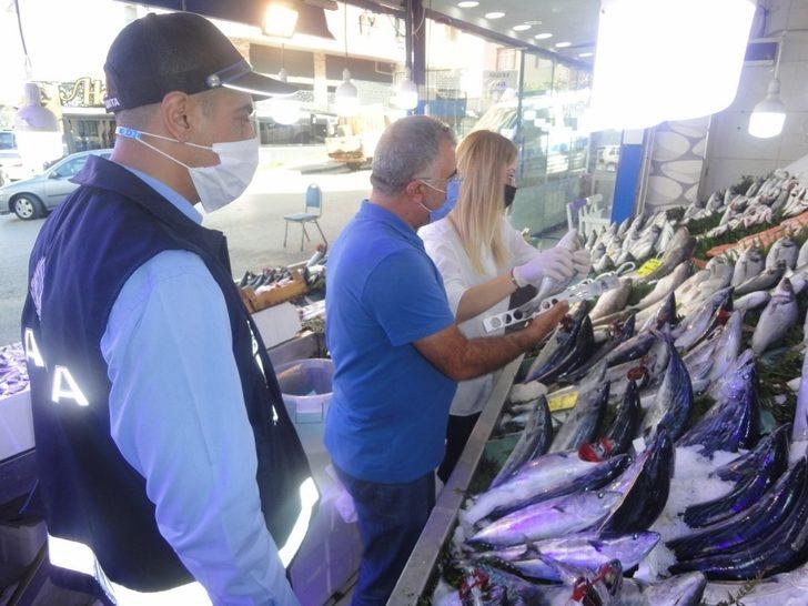 Gebzeli balıkçılar zabıta tarafından denetlendi G1