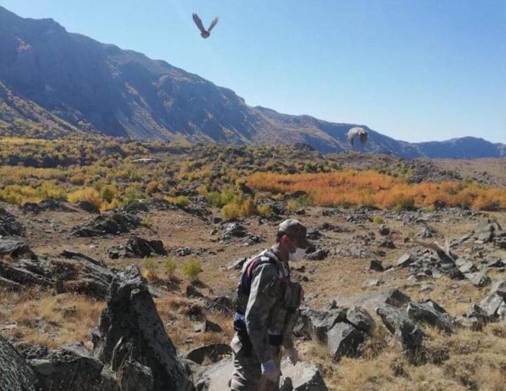 Tatvan’da 32 keklik kurtarılarak doğaya salındı G2