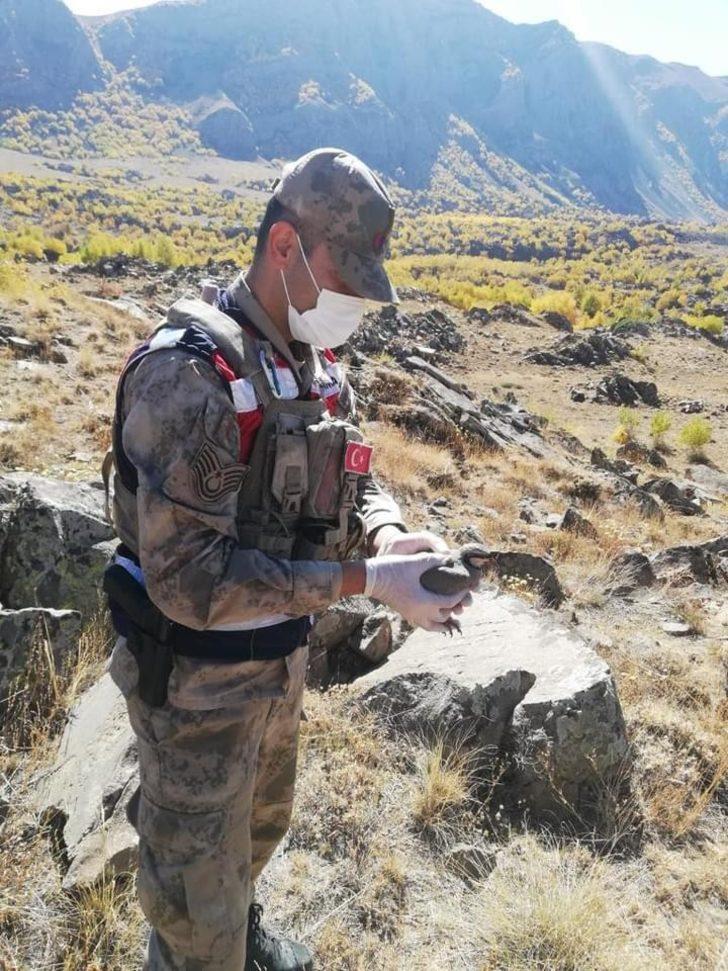 Tatvan’da 32 keklik kurtarılarak doğaya salındı G3