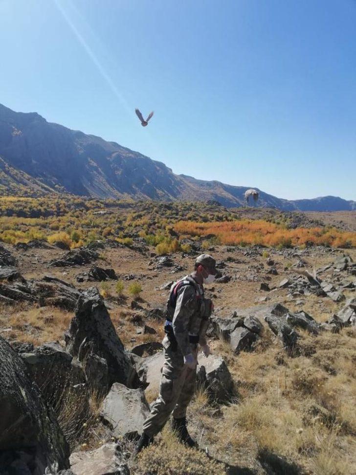 Tatvan’da 32 keklik kurtarılarak doğaya salındı G5