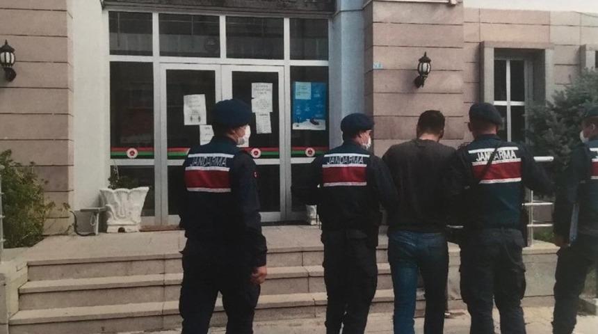 K&uuml;&ccedil;&uuml;kbaş hayvanları &ccedil;alan şahısları jandarma  9 g&uuml;nl&uuml;k takiple yakaladı