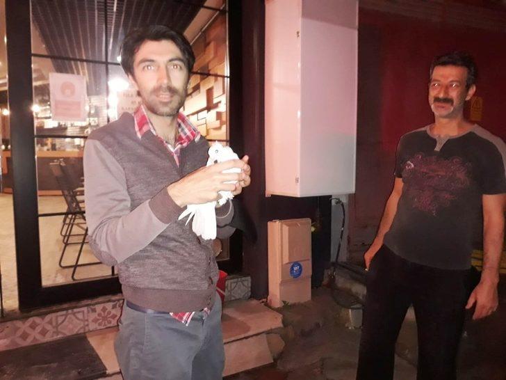 Burhaniye’de güvercin kurtarma operasyonu G3