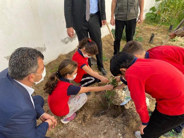 Fidan dikerek Hatay’daki orman yangınına dikkat çektiler