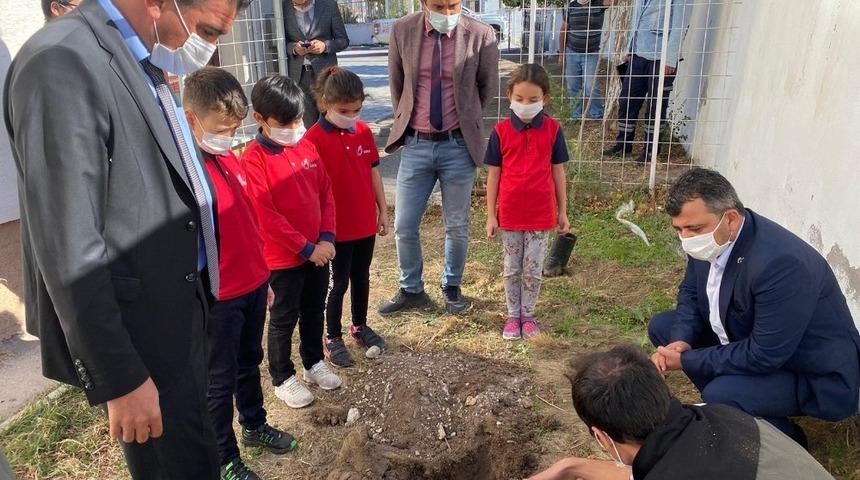 Fidan dikerek Hatay’daki orman yangınına dikkat çektiler