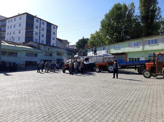 Kastamonu’da 10 bin dekar alanda siyez üretimi yapılacak