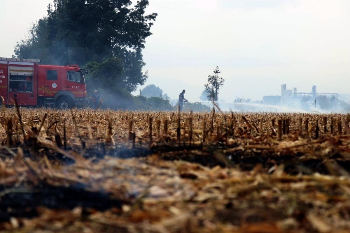 Sakarya&rsquo;nın korkulu r&uuml;yası anız yangınları halkı bezdirdi