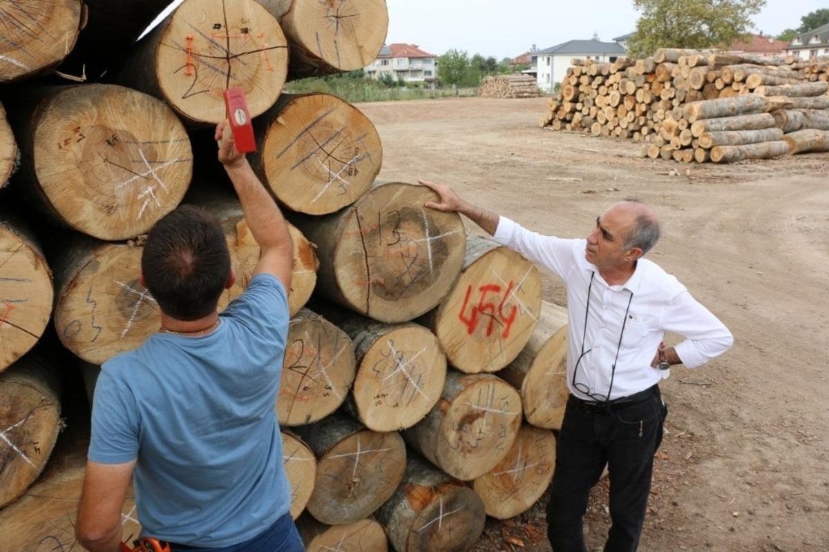 D&uuml;zce&rsquo;de orman emvalinin kalitesi y&uuml;kseltiliyor