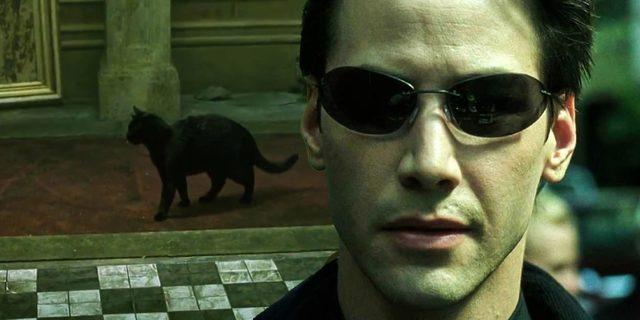 The-Matrix-Neos-Black-Cat-Deja-Vu-Explained