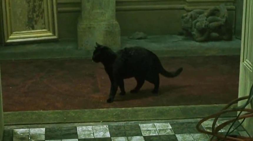 Meşhur filmdeki kara kedi sahnesi ne anlama geliyordu? 