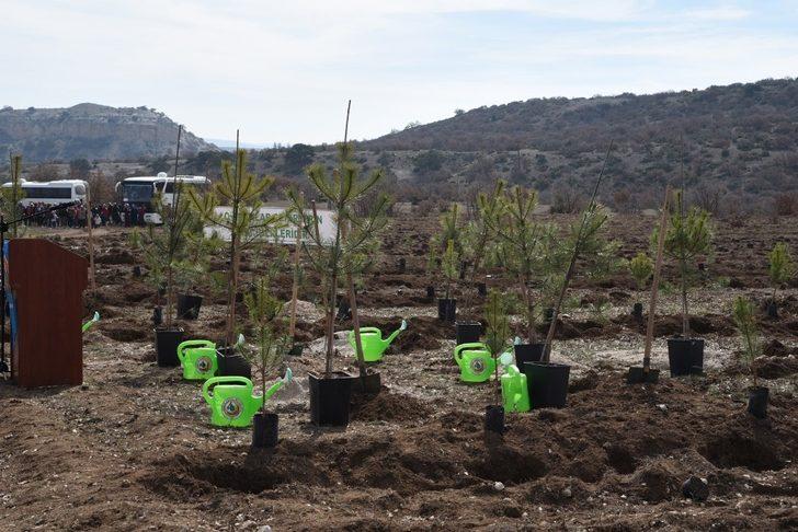 Orman yangınlarının yaralarını sarmak için işbirliği G2