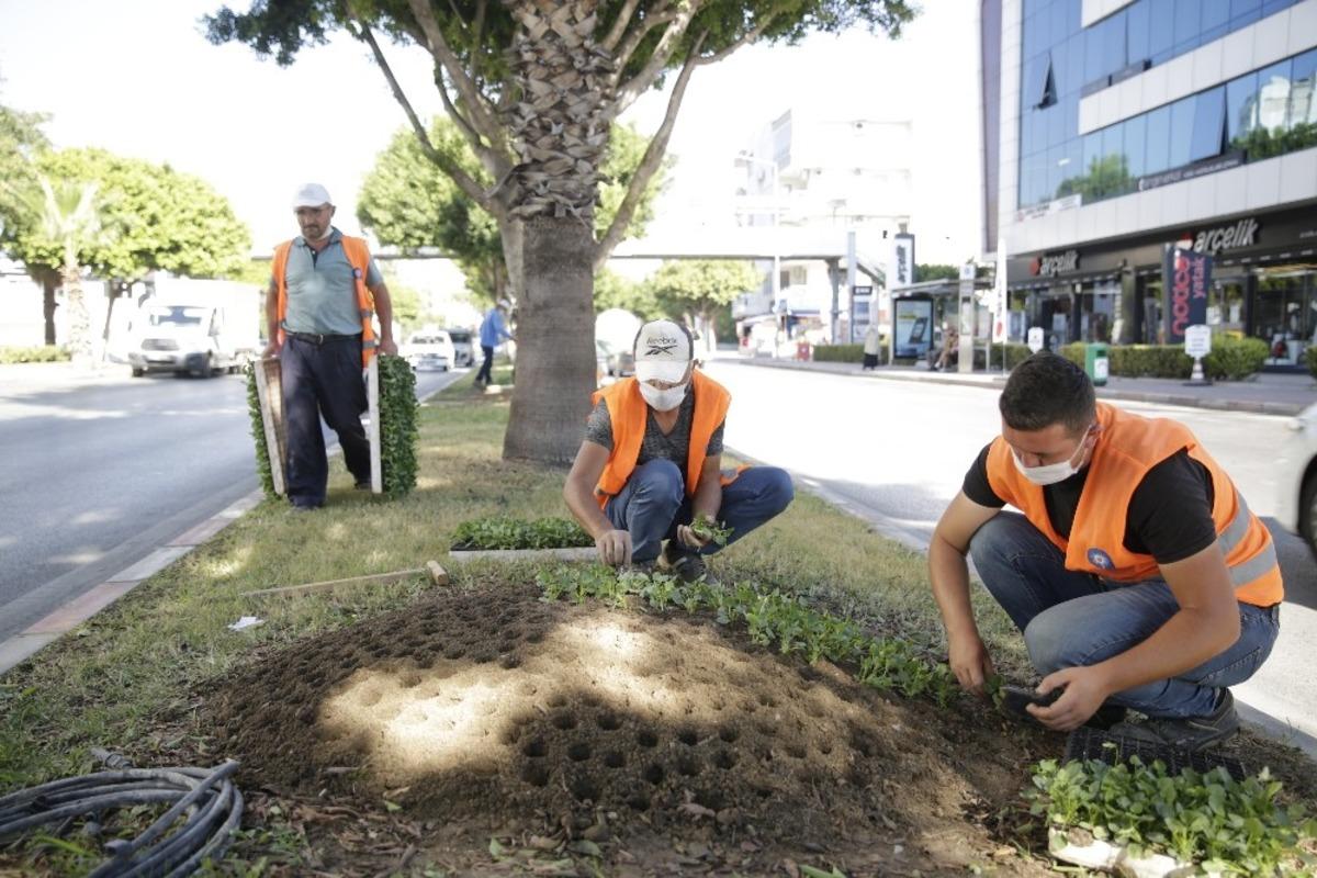 Antalya&rsquo;da, kışlık &ccedil;i&ccedil;ekler toprakla buluştu