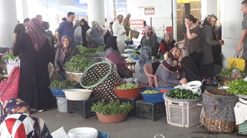 Bozkurt, 15 Ekim D&uuml;nya Kadın &Ccedil;ift&ccedil;iler G&uuml;n&uuml;&rsquo;n&uuml; kutladı