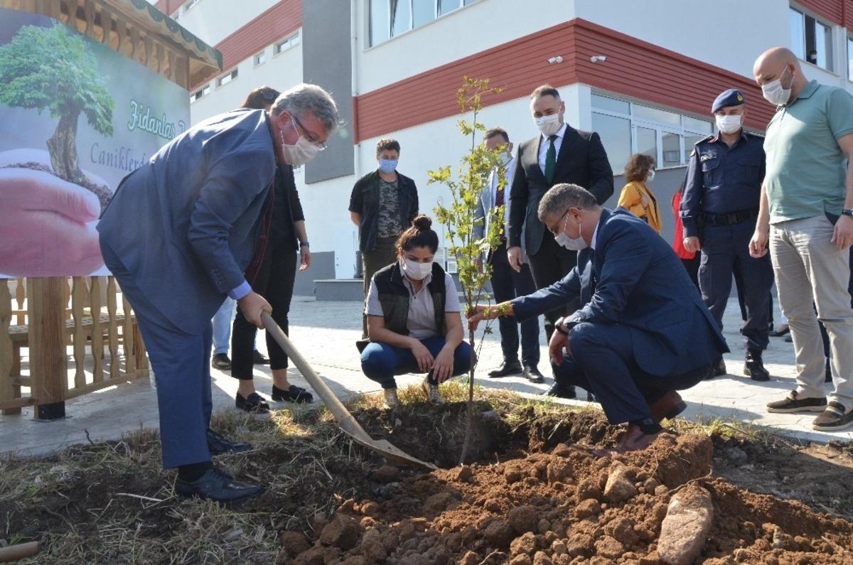 Fatsa&rsquo;da fidanlar toprakla buluştu