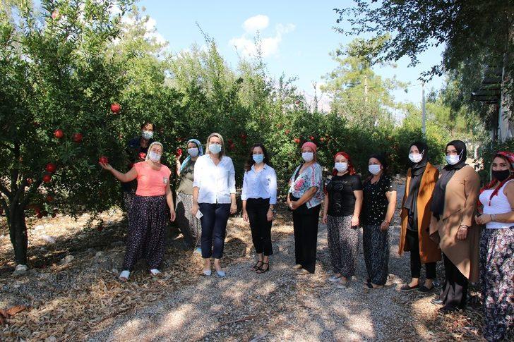 Büyükşehir’den Dünya Kadın Çiftçiler Günü kutlaması G4