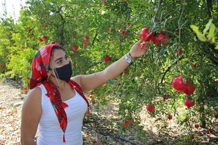 Büyükşehir’den Dünya Kadın Çiftçiler Günü kutlaması G5